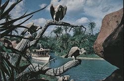 The Jungle Cruise - Walt Disney World Postcard Postcard Postcard