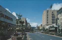 Main Street, Santa Cruz Mall, Wolworth's Postcard