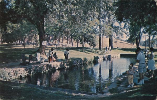 Springfield Trout Farm Sonora, CA Postcard