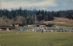 College of the Redwoods Postcard