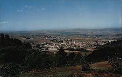 Bird's Eye View of Ferndale California Postcard Postcard Postcard