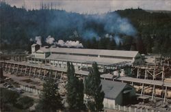 Pacific Lumber Company largest Redwood Lumber Mill, covers 400 acres Postcard