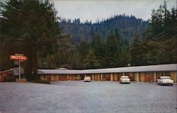 Weott Motel Postcard