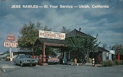 World's Largest Redwood Tree Service Station Ukiah, CA Postcard Postcard Postcard