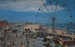 Santa Cruz Beach California Postcard Postcard Postcard