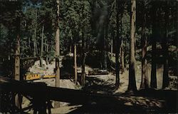 Roaring Camp & Big Trees Corkscrew loop Postcard