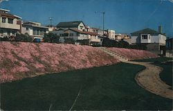 Manhattan Beach, moss roses on hillside, houses Postcard