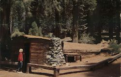 Tharp's Log Sequoia National Park, CA Postcard Postcard Postcard