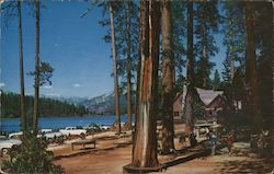 Recreational Area at Hume Lake, beach, lake, mountains California Postcard Postcard Postcard