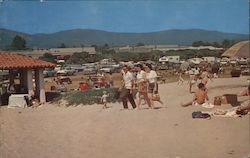 Carpinteria Beach State Park Postcard