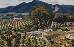 Beaulieu Vineyard in the Napa Valley Postcard