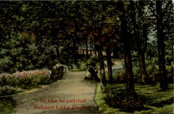 In The Beautiful Sebago Lake Region Postcard