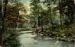 View On Kenduskeag Stream Postcard