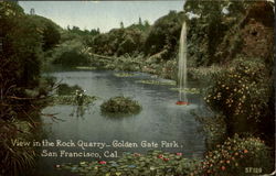 View In The Rock Quarry, Golden Gate Park San Francisco, CA Postcard Postcard