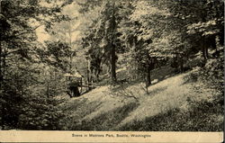 Scene In Madrona Park Postcard