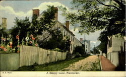 A Sleepy Lane Nantucket, MA Postcard Postcard