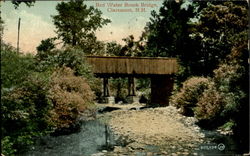 Red Water Brook Bridge Postcard