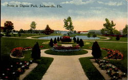 Scene In Dignan Park Postcard