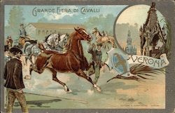 Horse-Drawn Wagon Horse Show Italian Horses Postcard Postcard Postcard