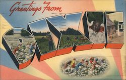 Greetings from Dixie - a Cotton Pickin' Postcard Postcard