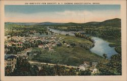 Bird's Eye View Showing Endicott-Vestal Bridge Postcard