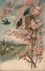 Spring Birds Postcard Postcard Postcard