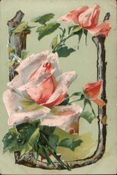 Pink Rose, Letter U Postcard