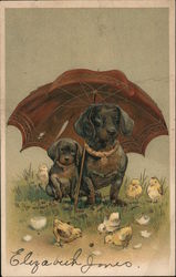 Dogs under Umbrella Dachshunds Postcard Postcard Postcard