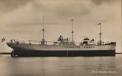 M. S. Chastine Maersk Steamers Postcard Postcard Postcard