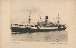 S.S. Hogarth Lampart and Holt Line Postcard