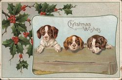 Christmas Wishes Postcard