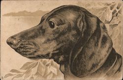 Dachshund Dog Postcard