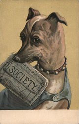 Dog with a newspaper Dogs Postcard Postcard Postcard