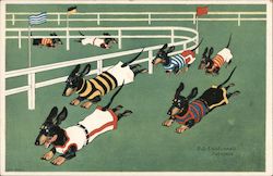 Dachshunds Running On a Race Track Postcard