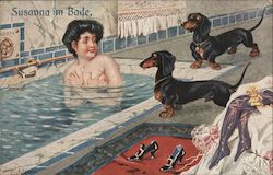 Susanna im Bade Dachshunds Postcard Postcard Postcard