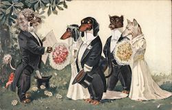 Dachshund Wedding Dachshunds Postcard Postcard Postcard