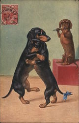 Dachshunds dancing and playing a flute Postcard Postcard Postcard