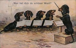 Dachshund Choir Postcard