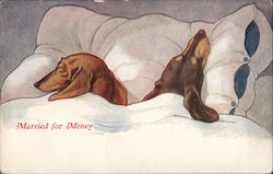 Married for Money (Dachshunds) Postcard Postcard Postcard