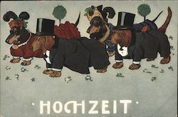 Hochzeit Dachshunds Postcard