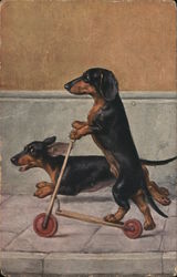 Dachshund Riding a Scooter Dachshunds Postcard Postcard Postcard