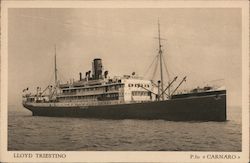 Lloyd Triestino Steamers Postcard Postcard Postcard