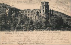 View from the Castle Terrace Heidelberg, Germany Postcard Postcard Postcard