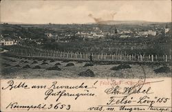 Tending a Vineyard in Felső-Lövő Postcard