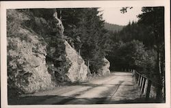 Partie aus Anthonianthal - partie z Antoniine udoli Czech Republic Eastern Europe Postcard Postcard Postcard