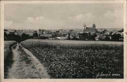 View of Český Brod Postcard