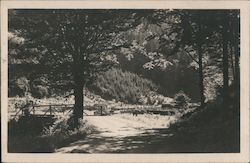 "Aus dem Tale der Stillen Teß" Czechoslovakia Eastern Europe Postcard Postcard Postcard