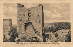 Ruins at Schlofsberg Postcard