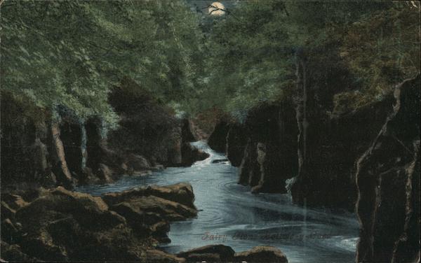 Rushing River at Moonlight Still Life Postcard