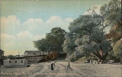 The Old Willows on Peaks Island Beach Portland, ME Postcard Postcard Postcard